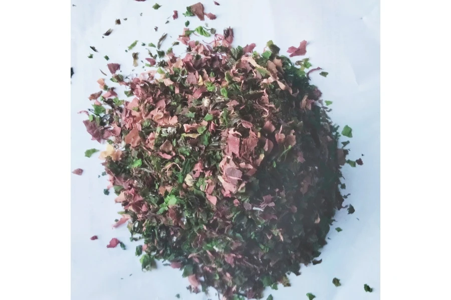 Salade Océalg Bio : Nori, laitue de mer et dulse